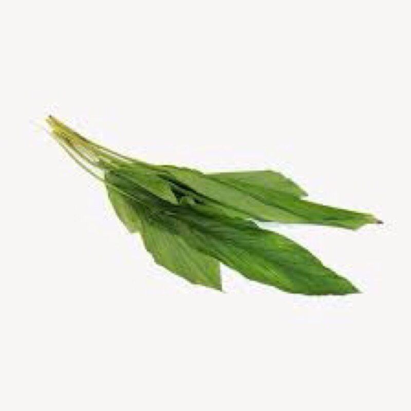 

DAUN KUNYIT PER IKAT