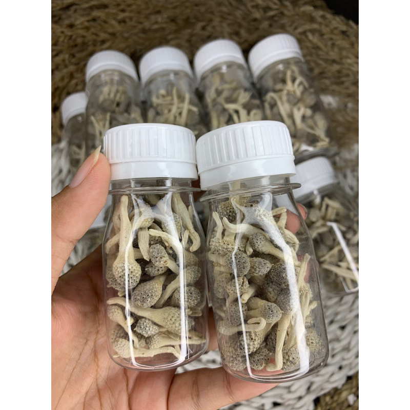 JAMU MPOT PUTIH | JAMU MPOT MADURA READY ISI 80 BIJi