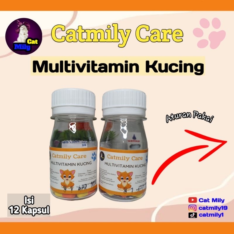 Multivitamin Kucing (Vitamin Gemuk dan Daya Tahan Tubuh)