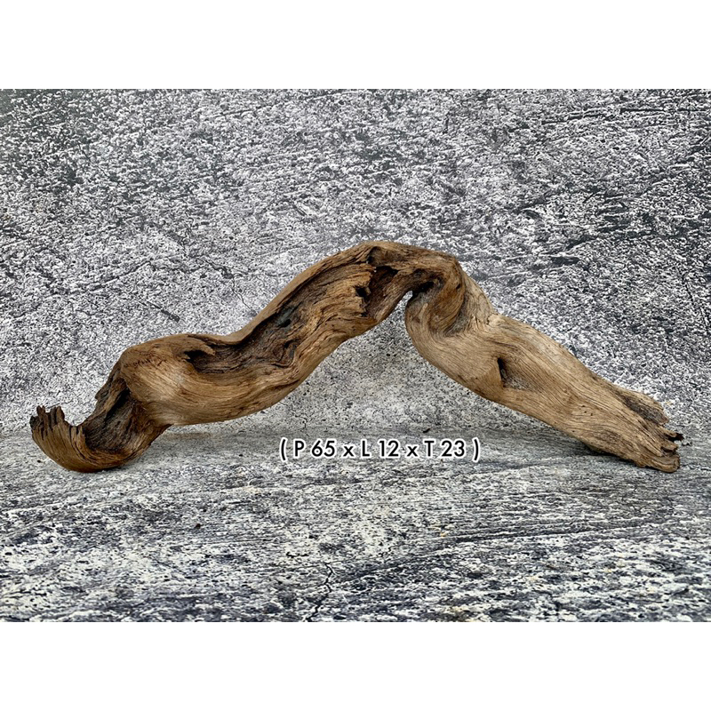 Kayu Santigi Laut Aquascape