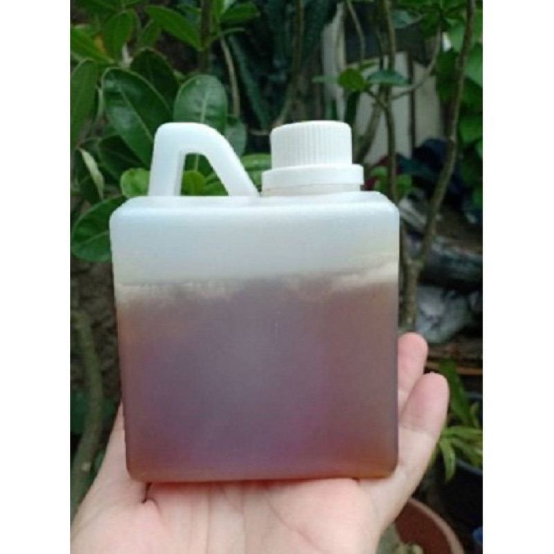 

Madu Itama 1/2 liter Asli 100 % Original / Madu Trigona Asli / madu kelulut asli