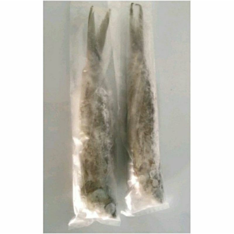 Otak Otak Ikan Bandeng Tanpa Tulang - Otak Otak Badeng Crispy