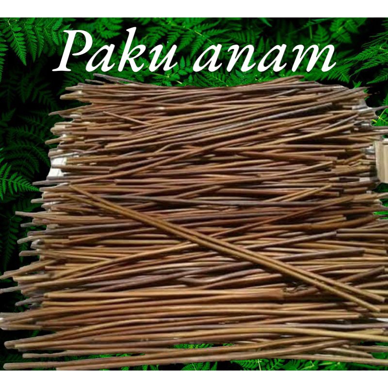 

PENA KALIGRAFI.PENCIL SIAP PAKAI