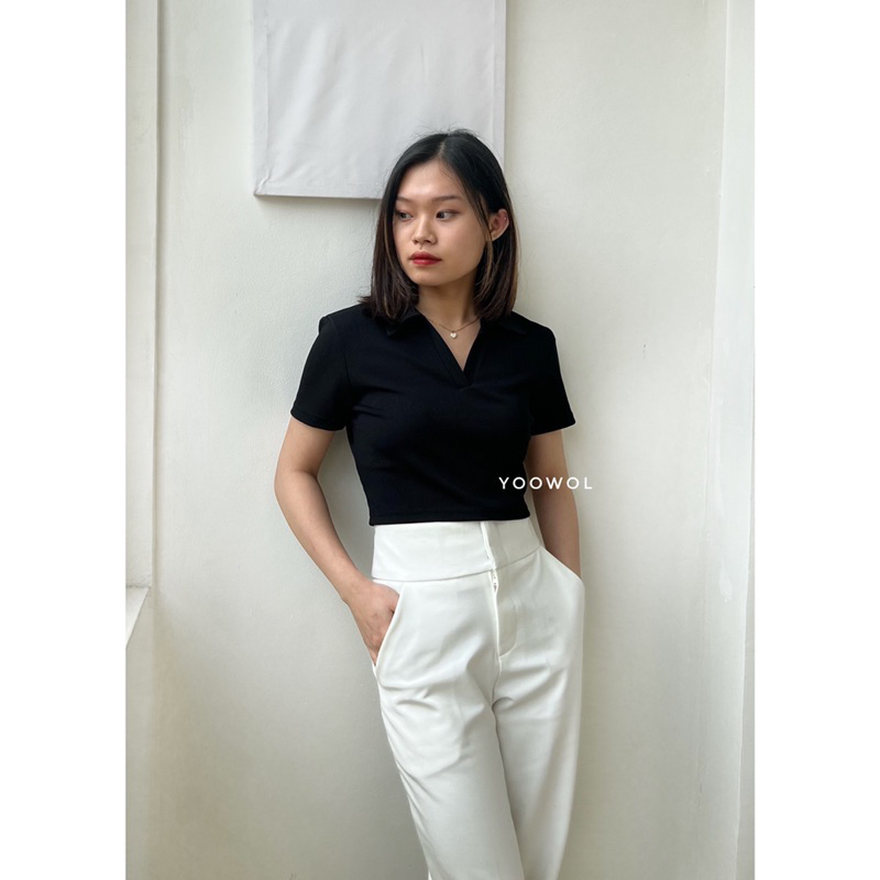 Shea Top/ Basic Knit Crop Top