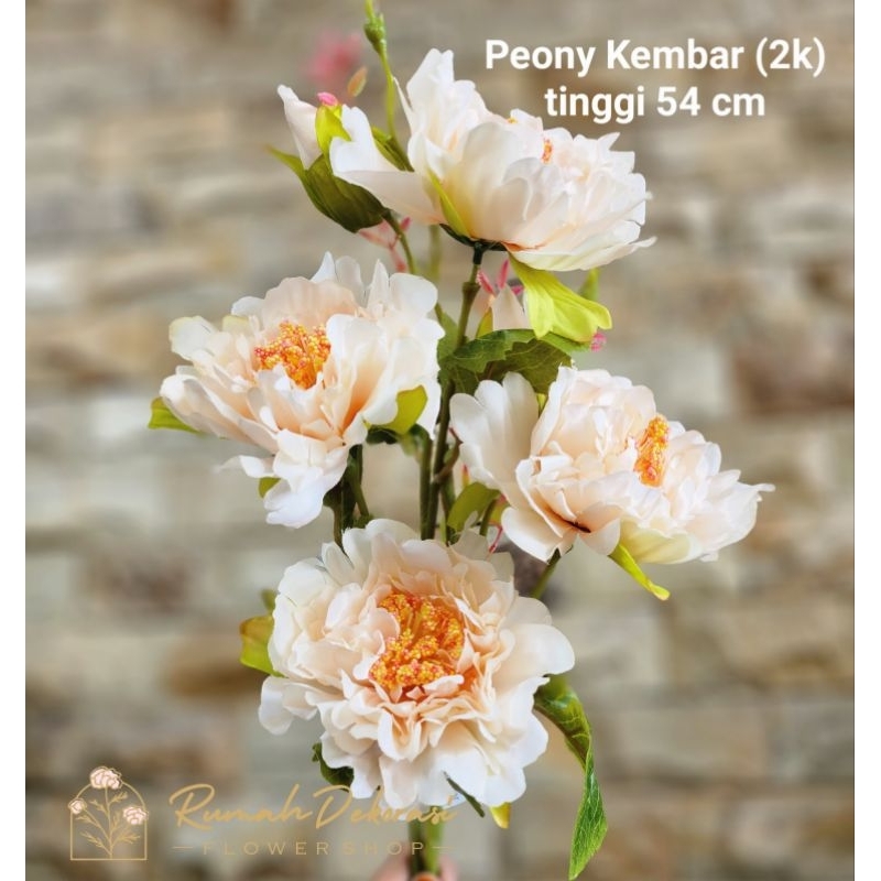 Bunga Peony Kembar kuntum besar