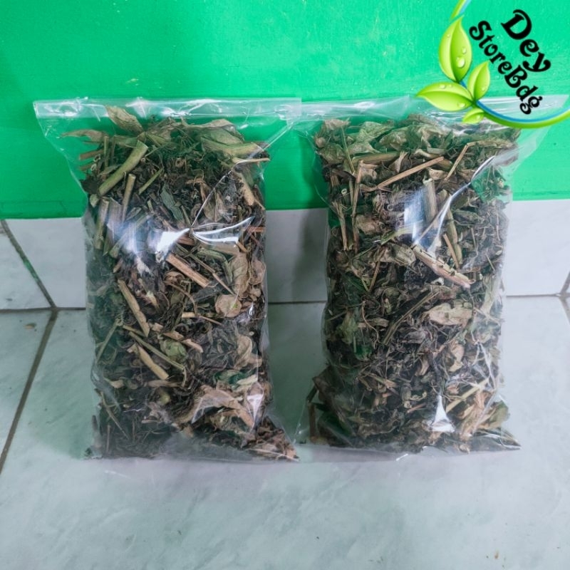 Daun ciplukan kering Daun batang ciplukan