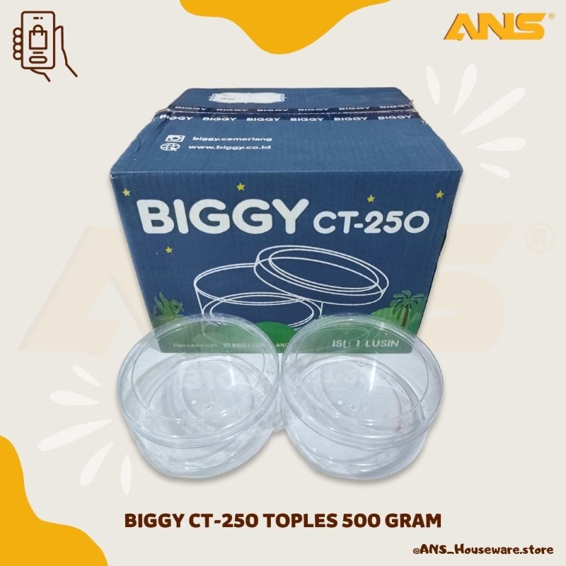 Toples Biggy 500 gram CT-250 / Toples Nastar 12 pcs