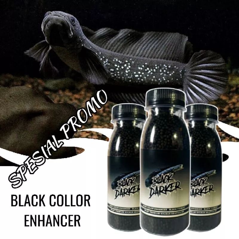 pellet BLACK DARKER khusus ikan channa asiatica ws & channa maru