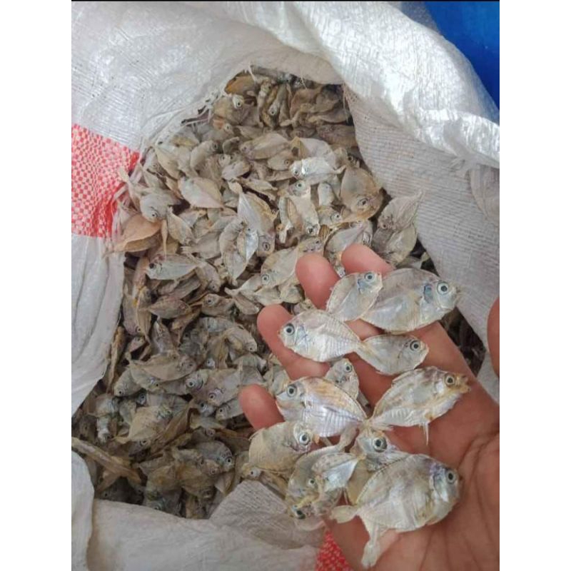 

Ikan asin pirik enak murah