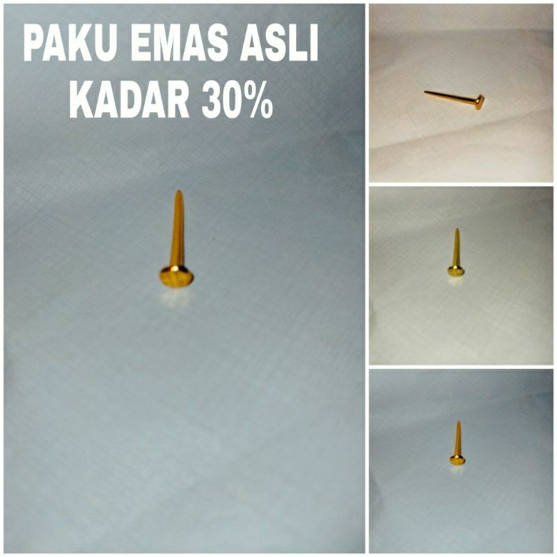 paku emas asli