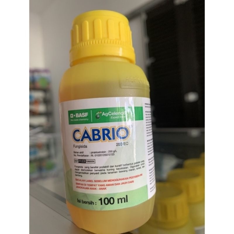 CABRIO 250 EC 100 ml