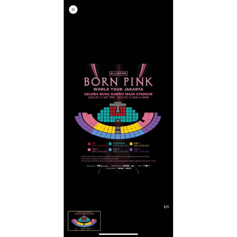 tiket konser BLACKPINK BORN PINK CAT 4 DAY 2