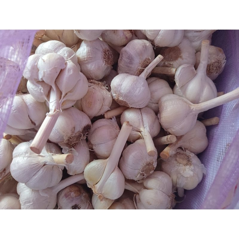 

Bawang Putih Kating Kemasan 1 kg