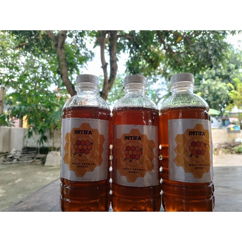 

Madu Ternak Asli 600 Gram