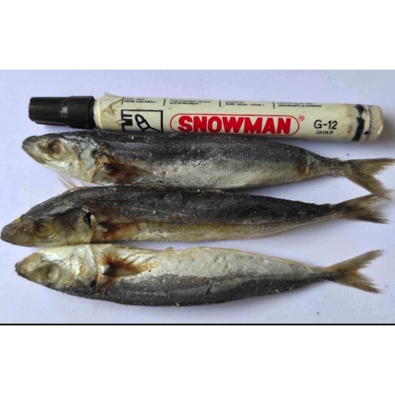 

Ikan peda layang enak murah