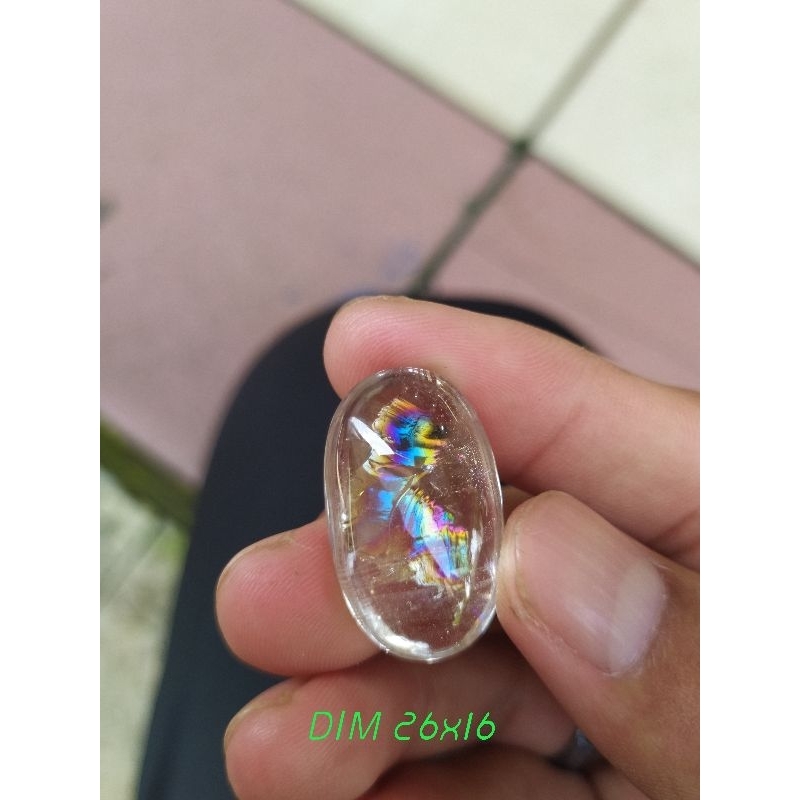 KECUBUNG KINYANG AIR PELANGI SEPERTI ORANG SUJUD KUALITAS BAGUS