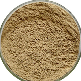

TERBAIK HERBAL BUBUK BIJI KOPI HIJAU / GREEN COFFE 250 GRAM