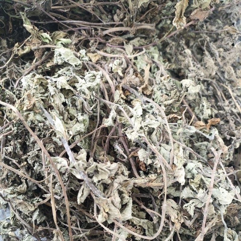 

daun mint kering 500 grm