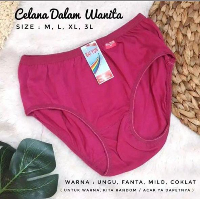 CELANA DALAM WANITA LUSINAN / CELANA DALAM WANITA LUSINAN MURAH / PAKET HEMAT 1 LUSIN CD WANITA BAIYUN-2