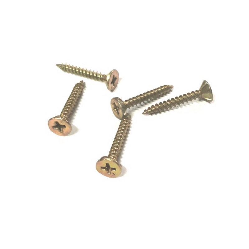 Baut Sekrup Paku Roofing GRC panjang 1 inch 2.5 cm per pcs