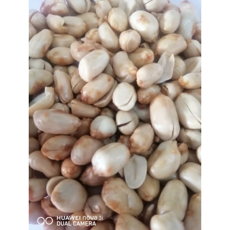 

kacang bawang premium