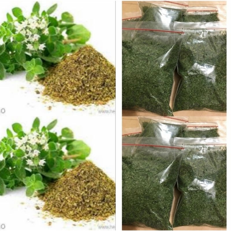 

Oregano 20 gr parsley peterseli daun parsley kering 10 gr daun peterseli sup USA