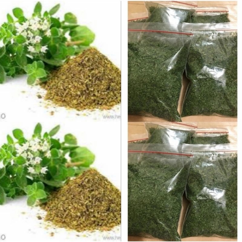 Oregano 20 gr parsley peterseli daun parsley kering 10 gr daun peterseli sup USA