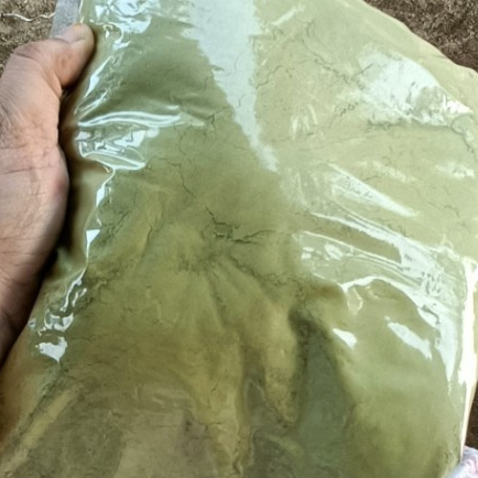 

TERBAIK BUBUK DAUN WIDURI HERBAL 250 GRAM