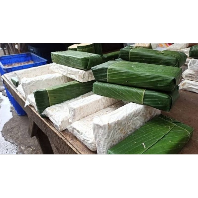 

Tempe Plastik/Daun