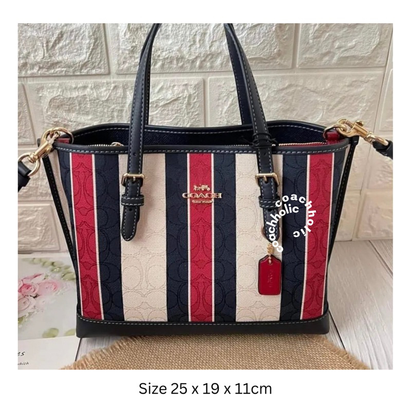 coach mollie tote