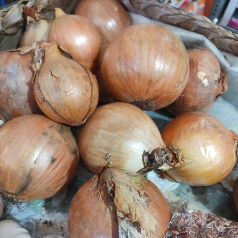 bawang bombay onion bombay besar kecil