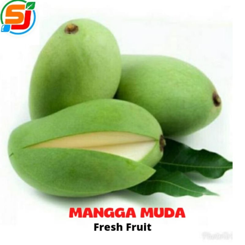 

MANGGA MUDA MANALAGI 1KG