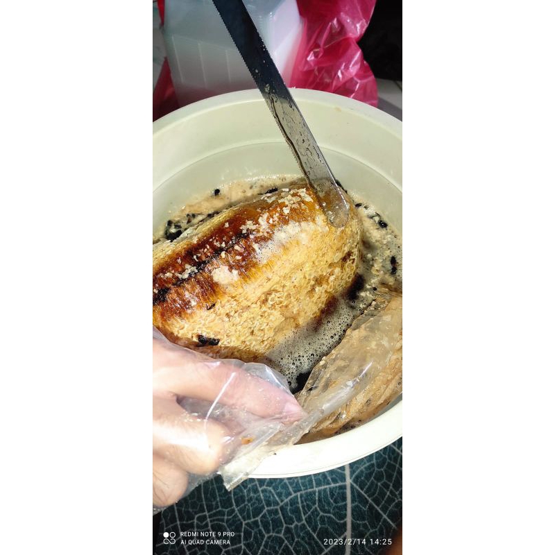 

madu hutan asli sarang Riau per 500 gr