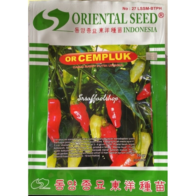 Benih Cabe Rawit Putih Unggul OR CEMPLUK 10 gram