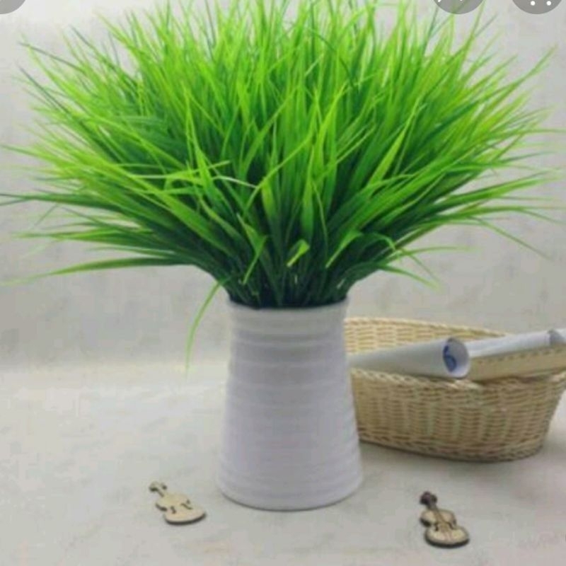 Tanaman rumput palsu / imitasi /rumput ilalang