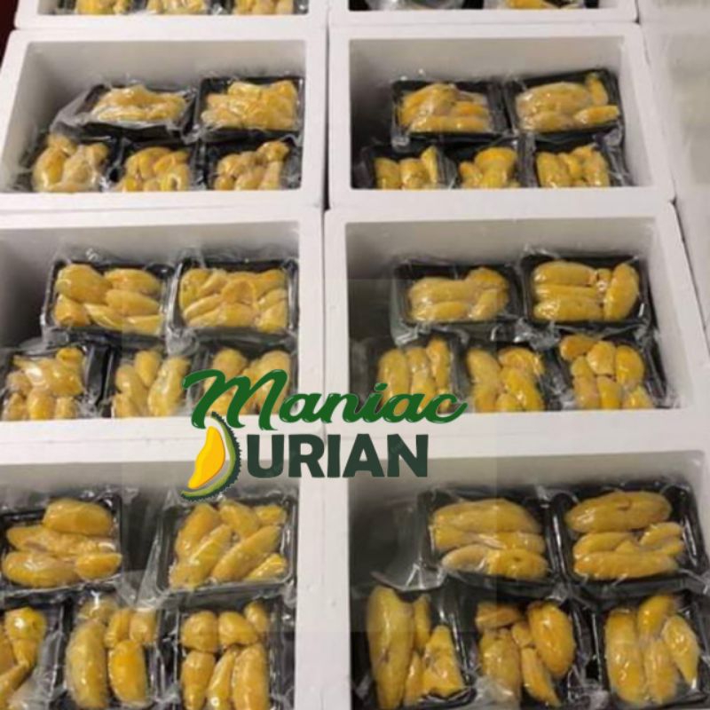 

DURIAN MUSANG KING MALAYSIA