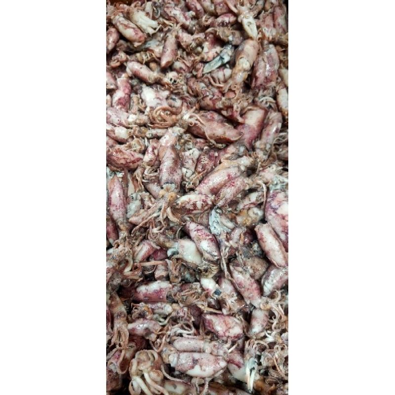 

asin cumi semi basah 11k 100gram