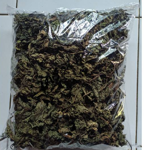 

MURAH DAUN INSULIN KERING ORIGINAL 250 GRAM