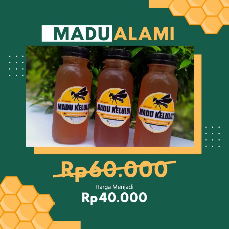 

Madu Kelulut / Trigona / Klanceng Asli 100%