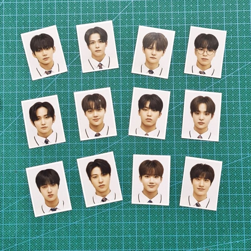 Treasure Pas Foto ID Photo 1 set 12 pcs