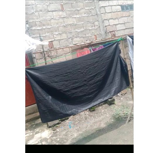 kain bnteng atau kemul banteng dewasa