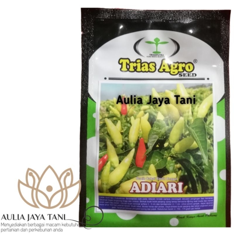 Benih Cabai Rawit Cabe Kecil ADIARI Trias Agro Cabe Kecil