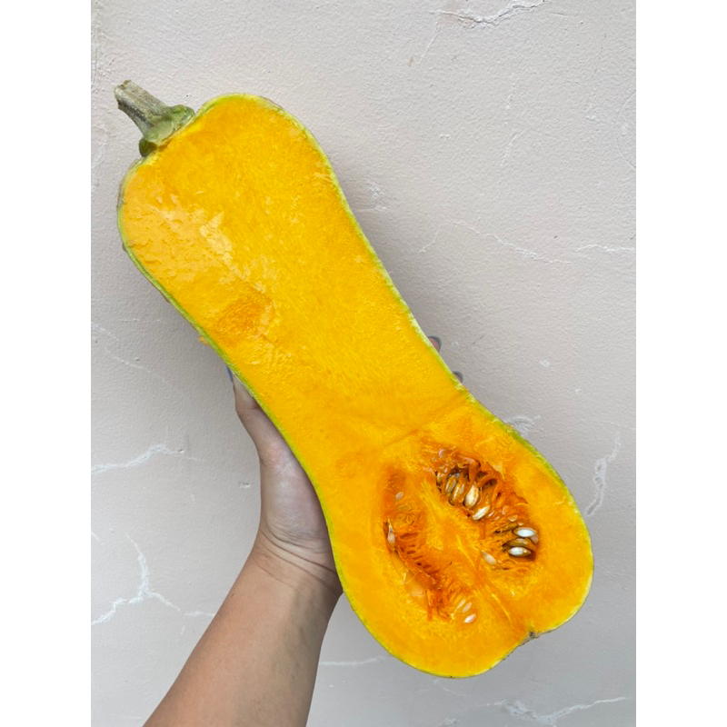 

BUTTERNUT SQUASH