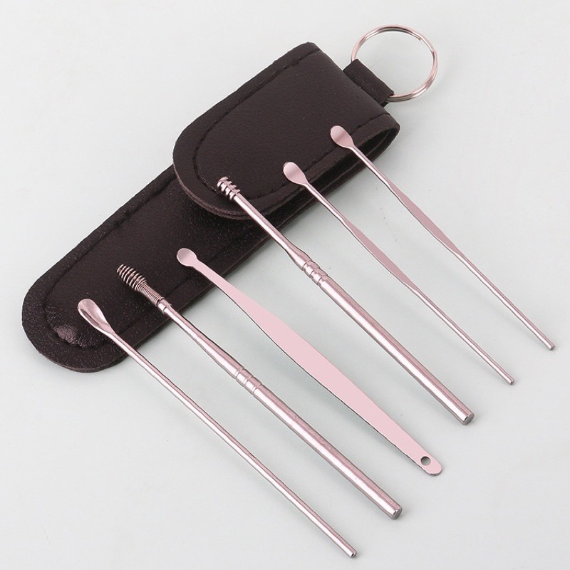 Pembersih Telinga Korek Kuping Ear Wax Picker Set 6pcs Stainless Steel Anti Karat