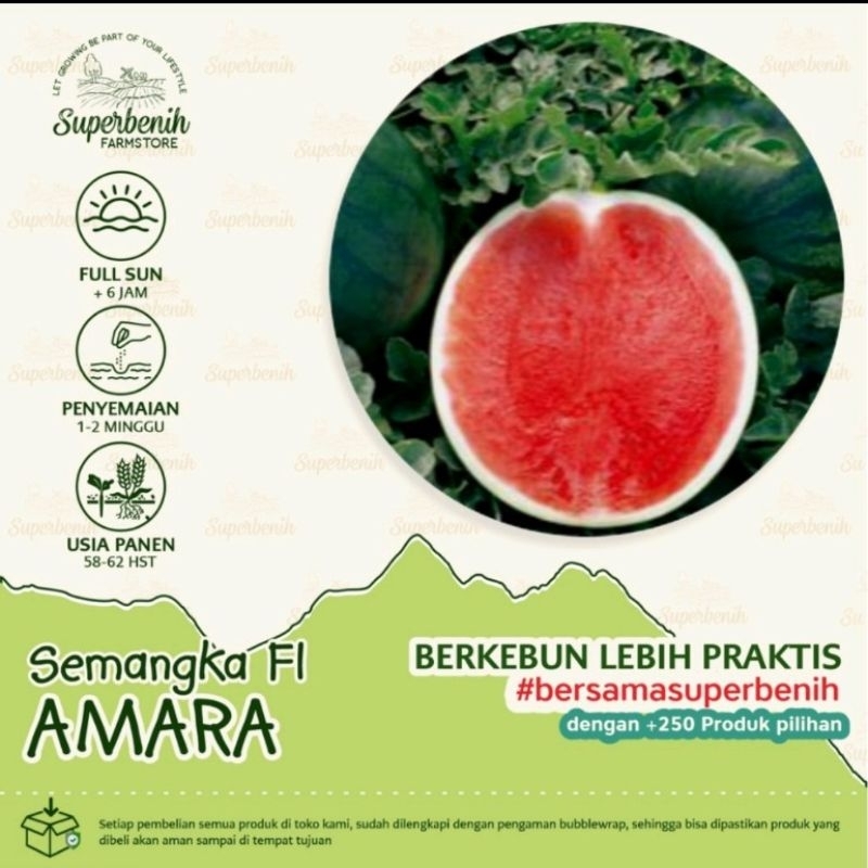 5 biji Bibit Benih Semangka AMARA F1 Non Biji