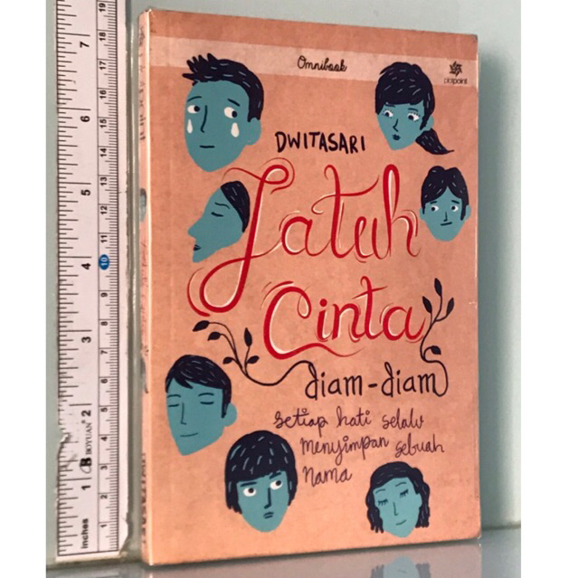 Jatuh Cinta Diam diam DWITASARI