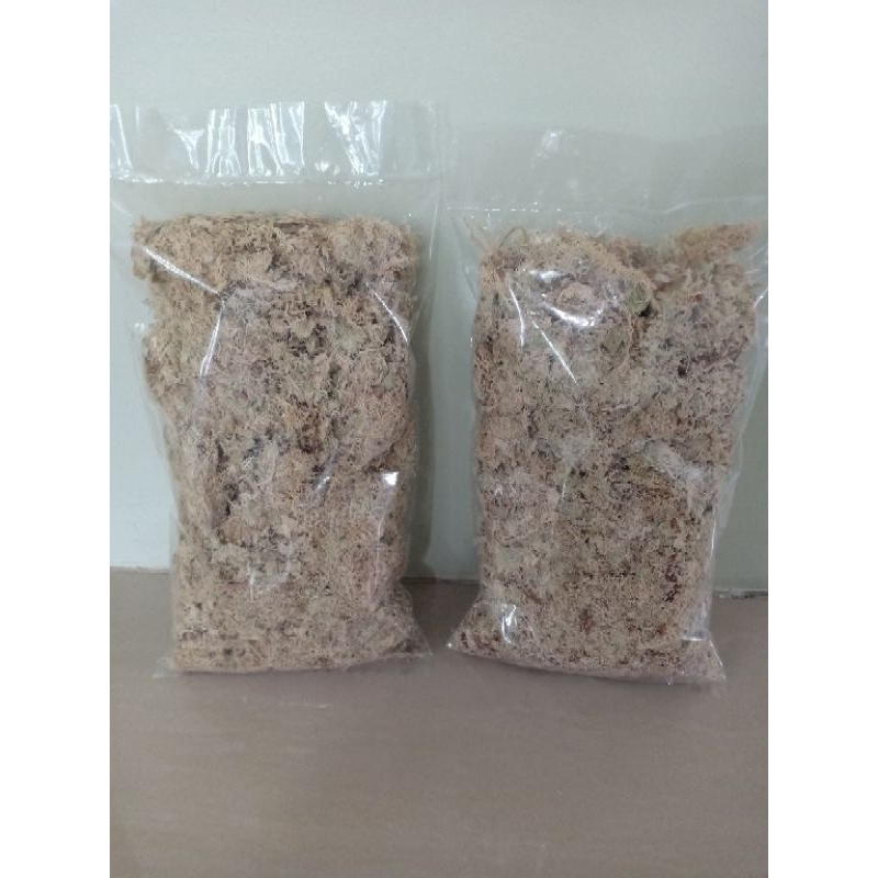 Sphagnum moss kering