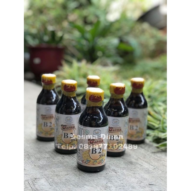 Madu Cerna B2
