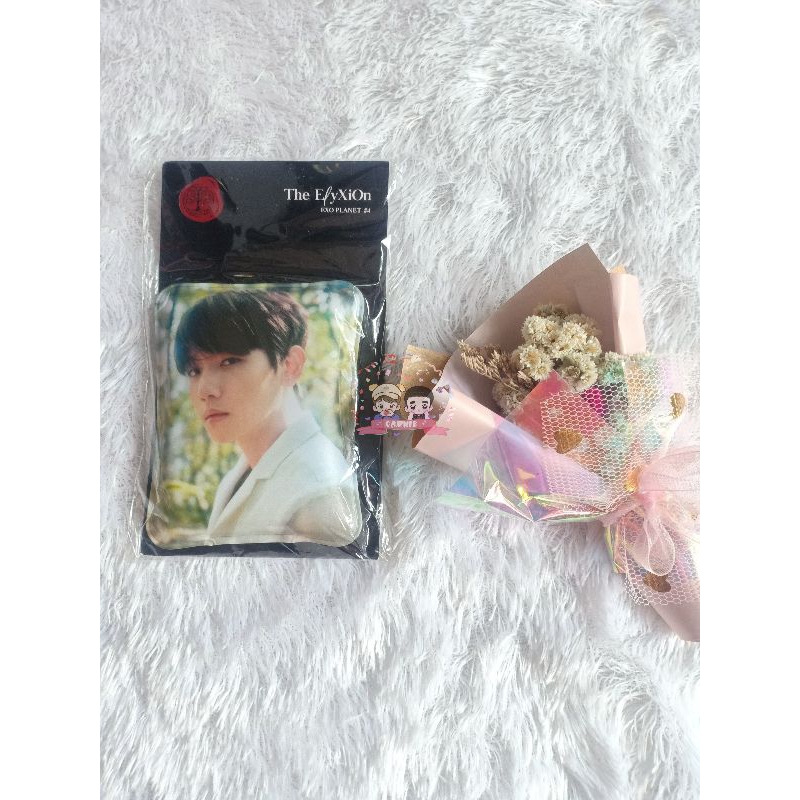 Handwarmer Baekhyun EXO Elyxion (No Photocard)