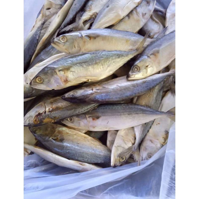 

ikan asin peda banyar enak murah 250 g